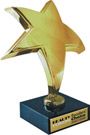 Beauty Award 2007-2008